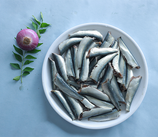 Sardine / ചാള (1KG)