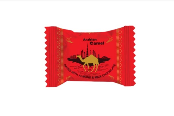 ARABIAN CAMEL