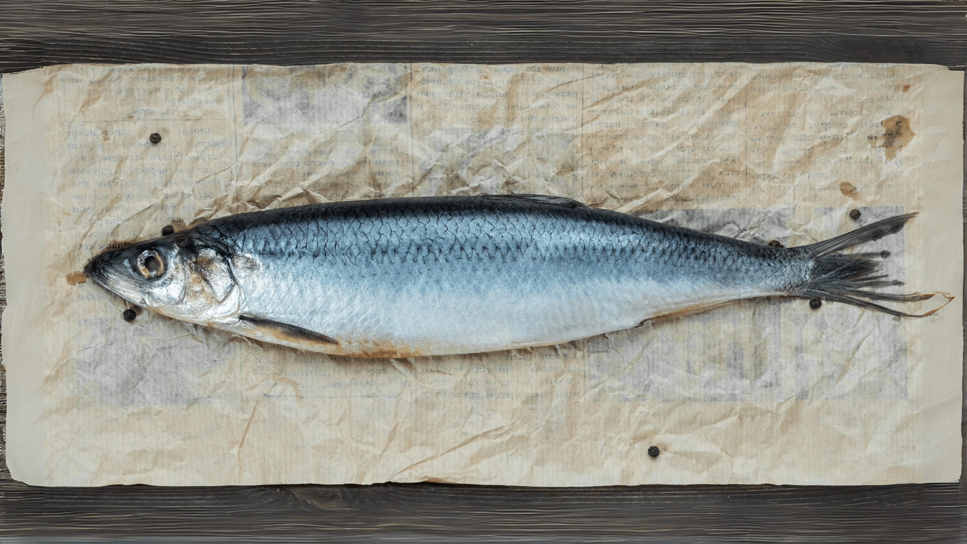mackerel Fish / അയല (1KG)