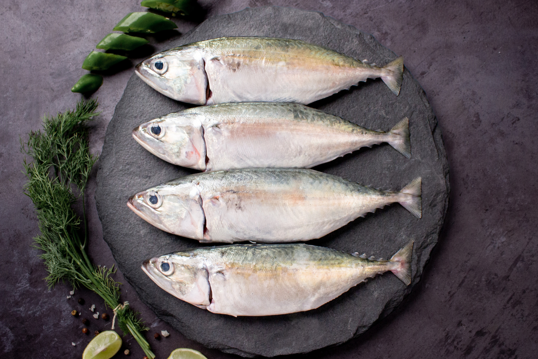 mackerel Fish / അയല (1KG)
