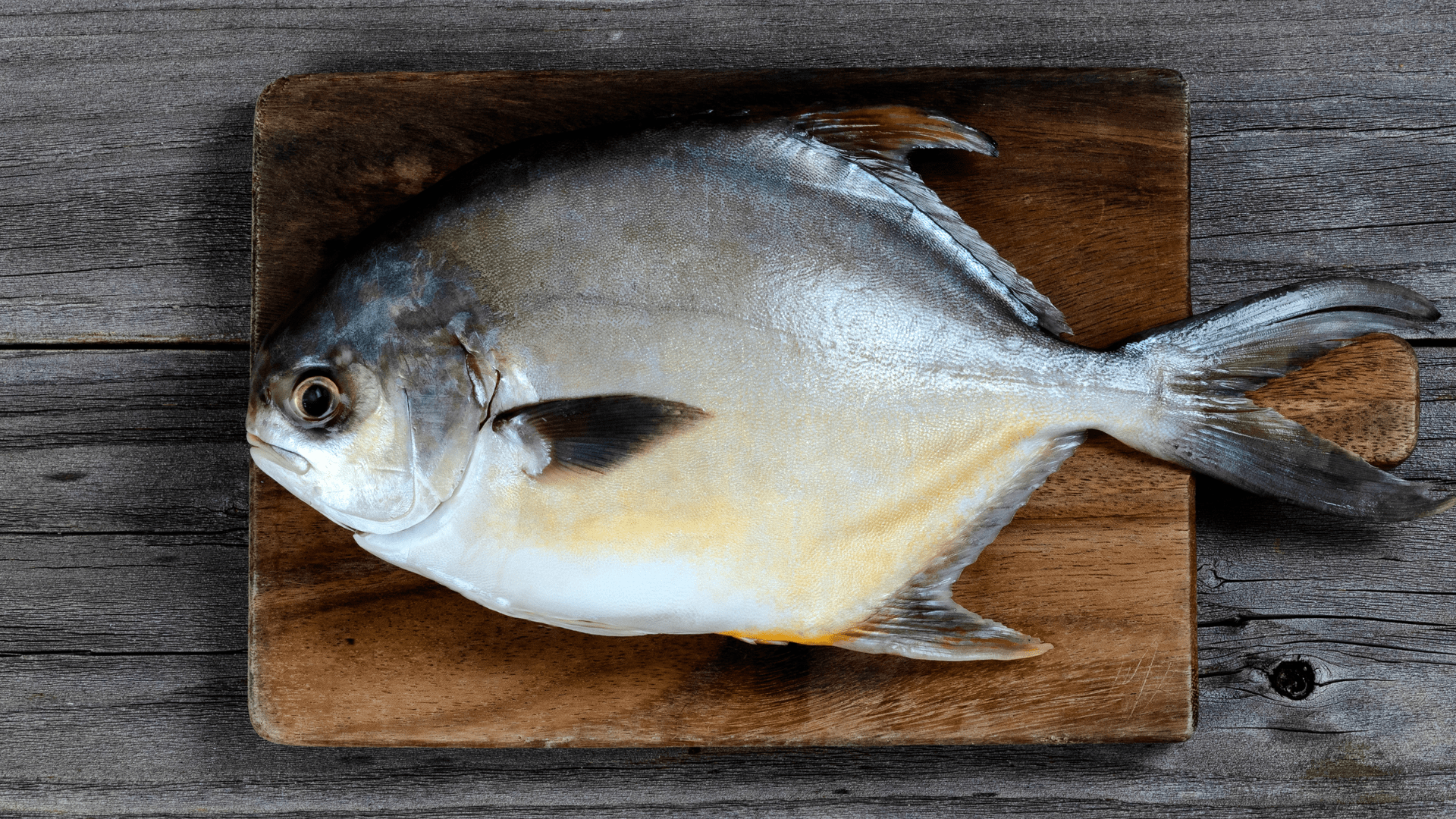 Pomfret / ആവോലി (1KG)
